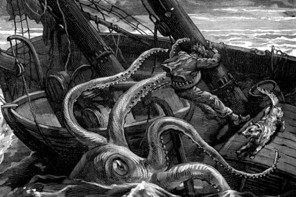 Vk kraken