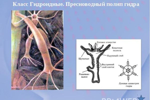 Ссылка на кракен тор kr2web in